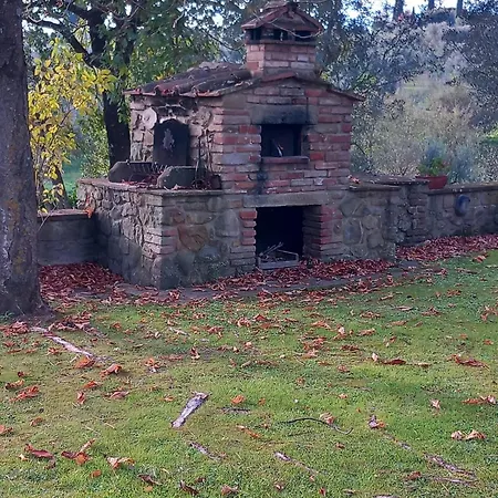 Il Baccellino Ciggiano