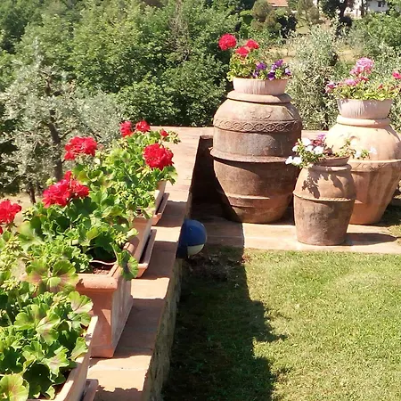 Il Baccellino Ferienhaus *