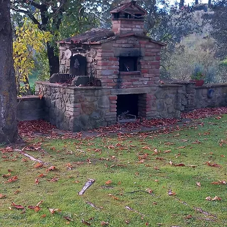 Il Baccellino Ciggiano